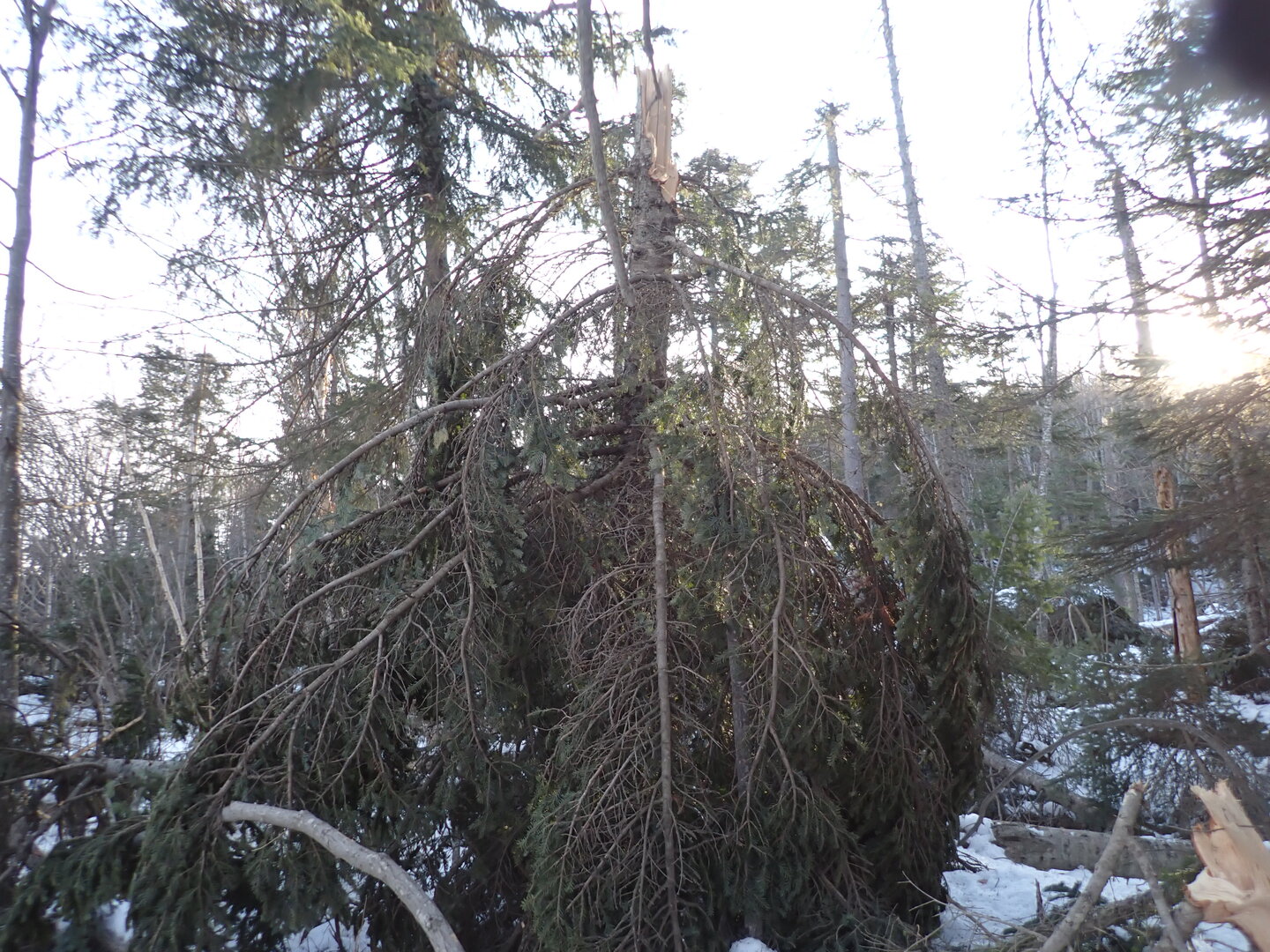 P1010257.JPG
