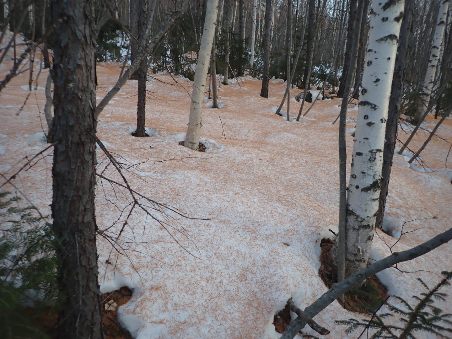 P1010258.JPG