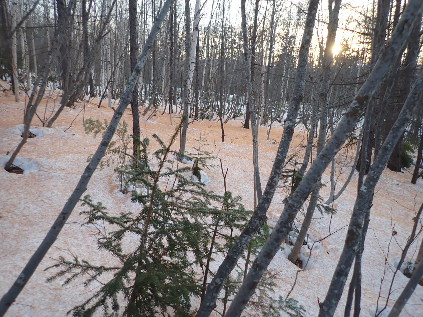 P1010259.JPG