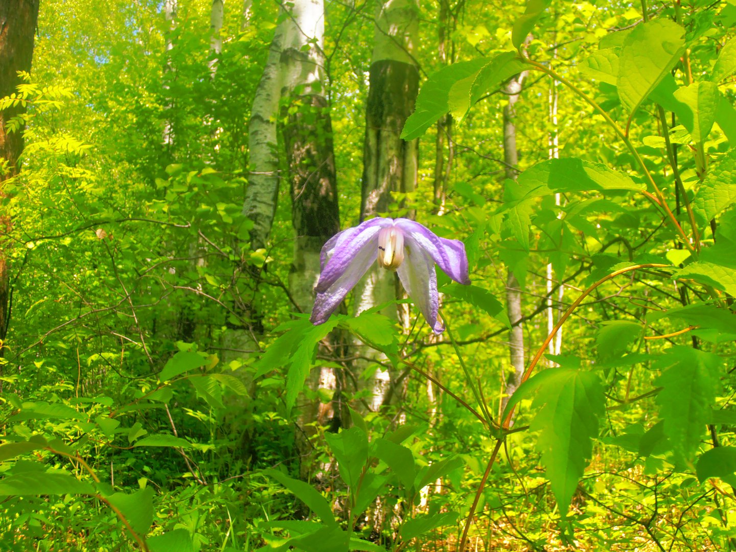 P1010329.JPG