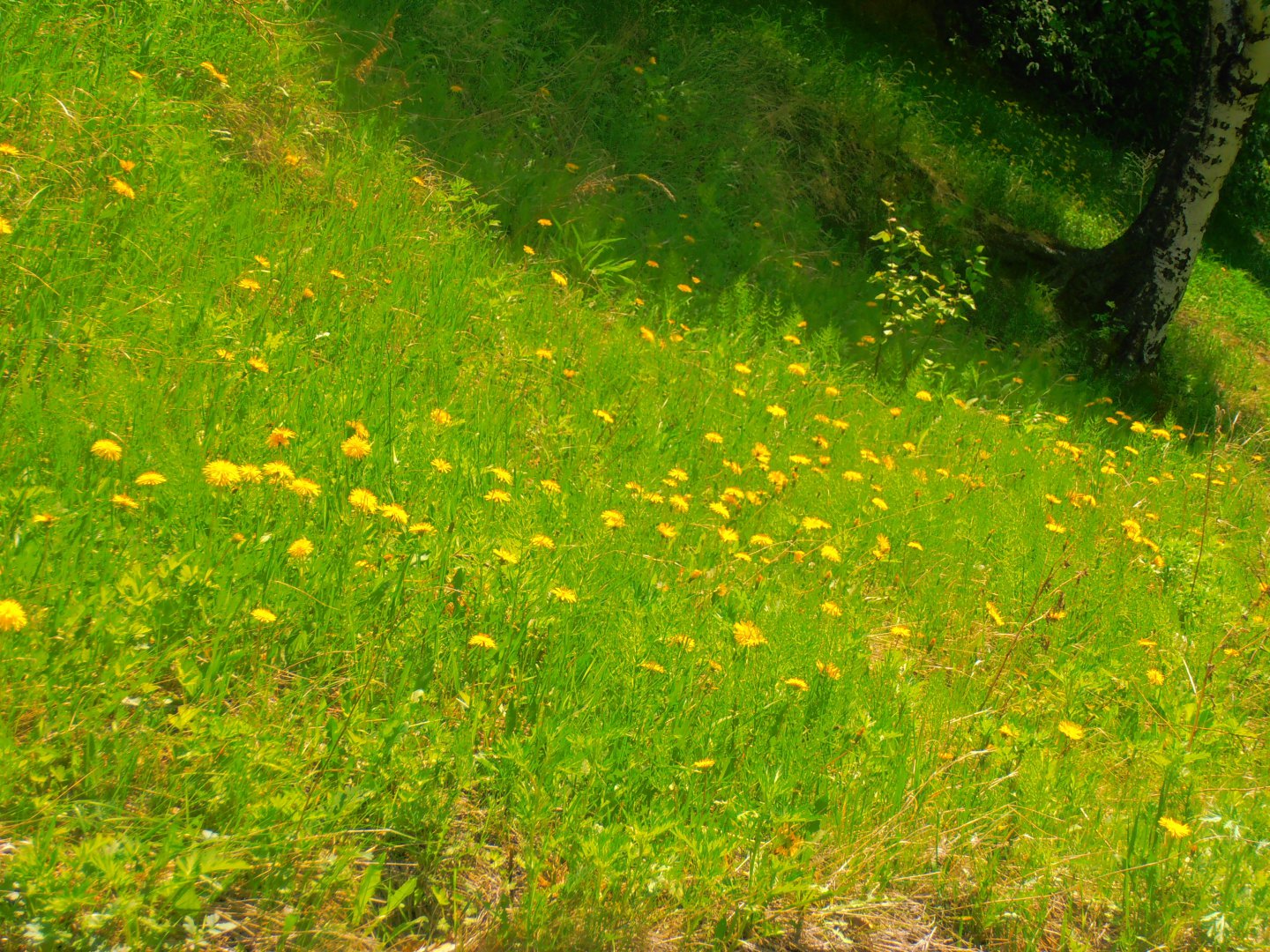 P1010342.JPG