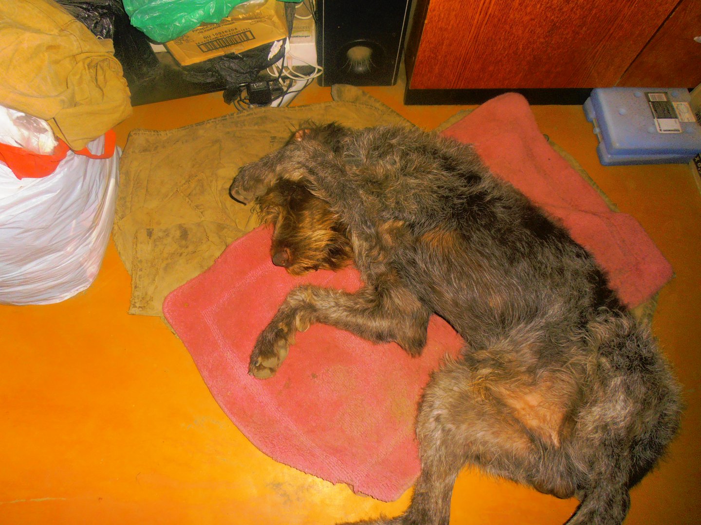 P1010349.JPG