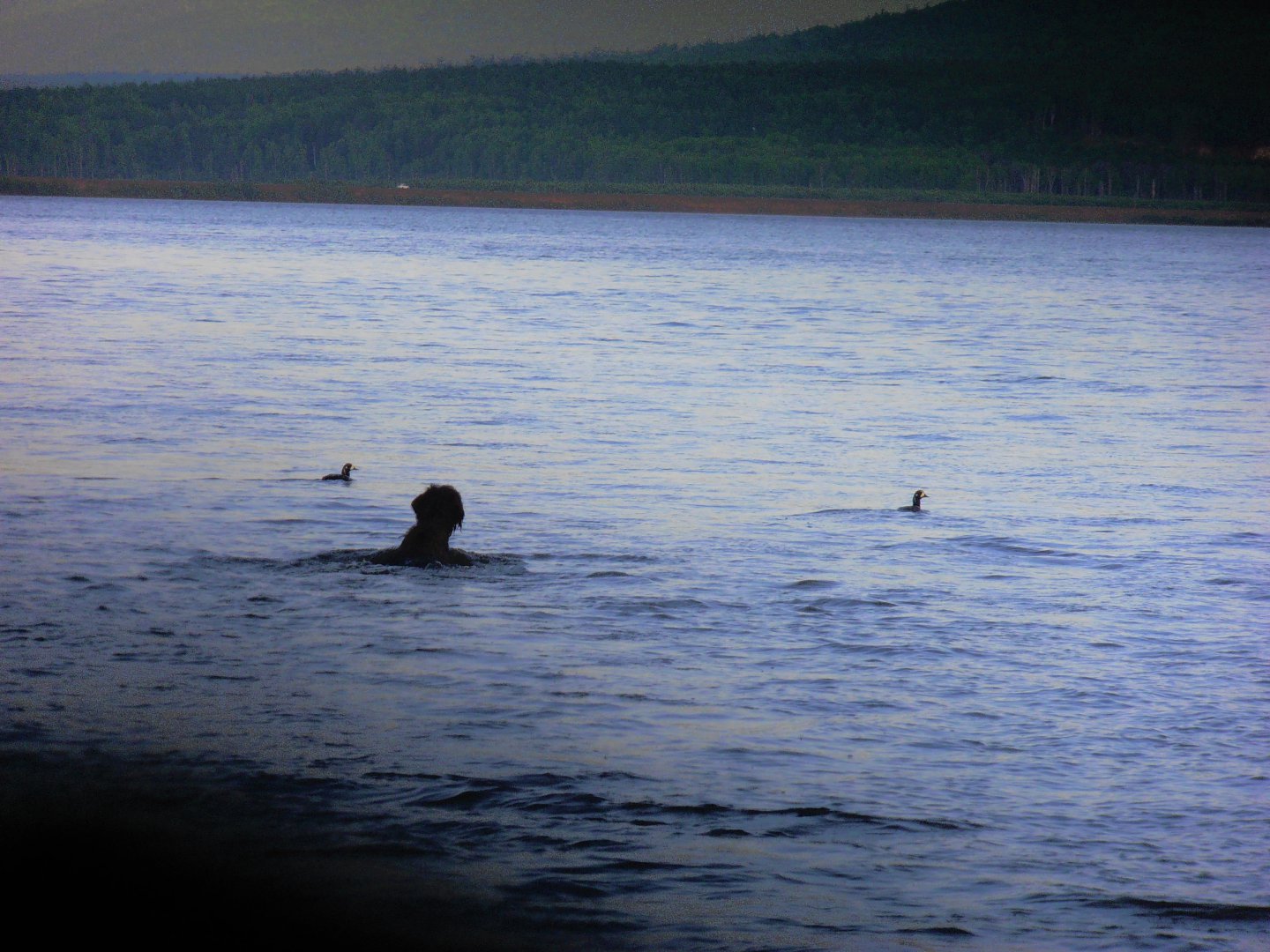 P1010367.JPG