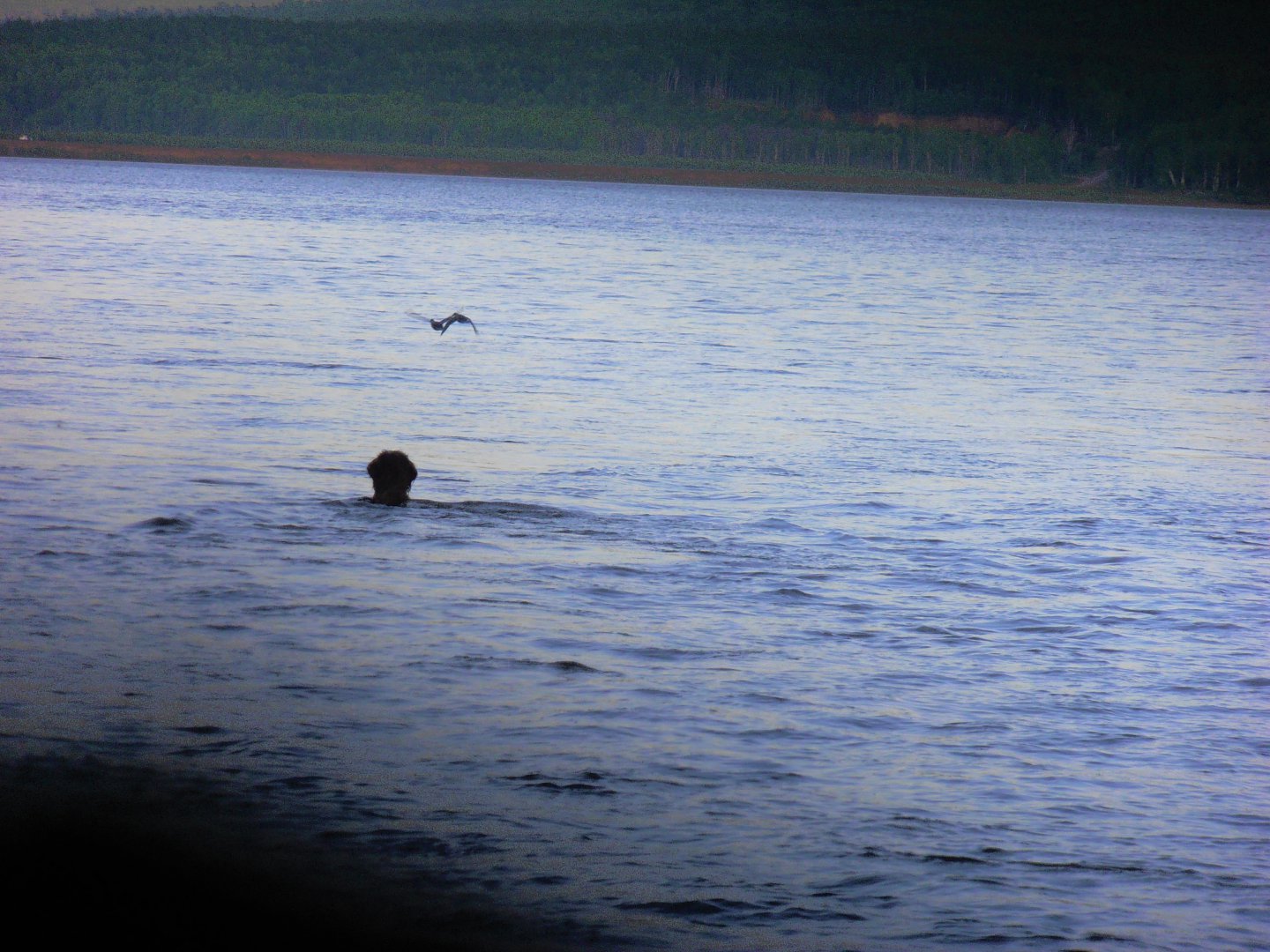 P1010368.JPG