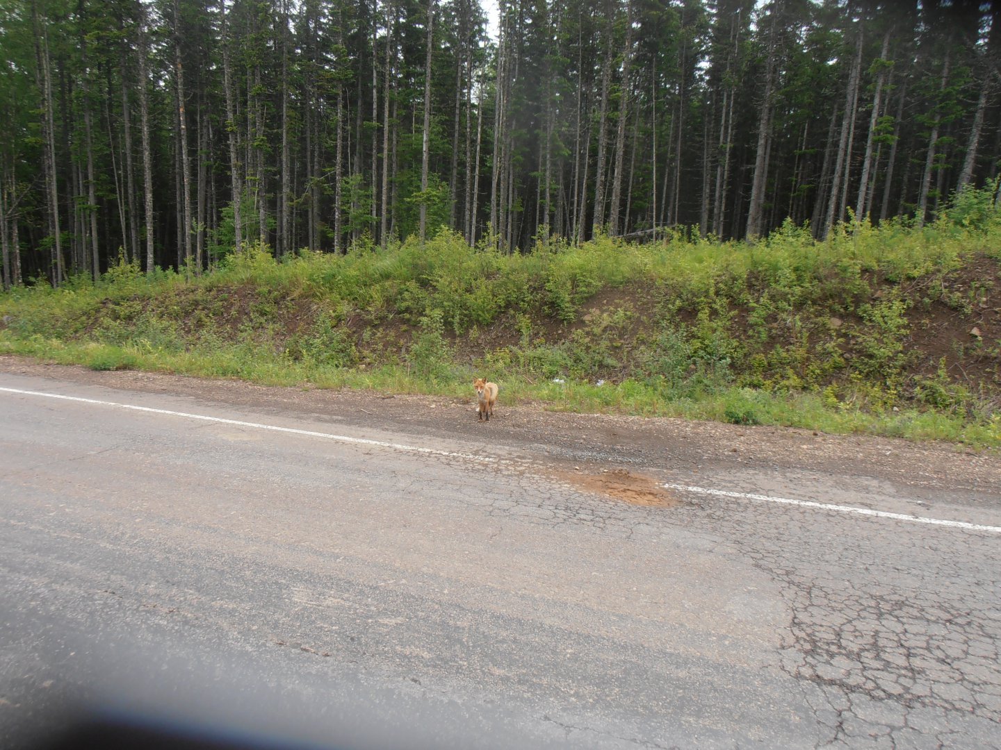 P1010411.JPG
