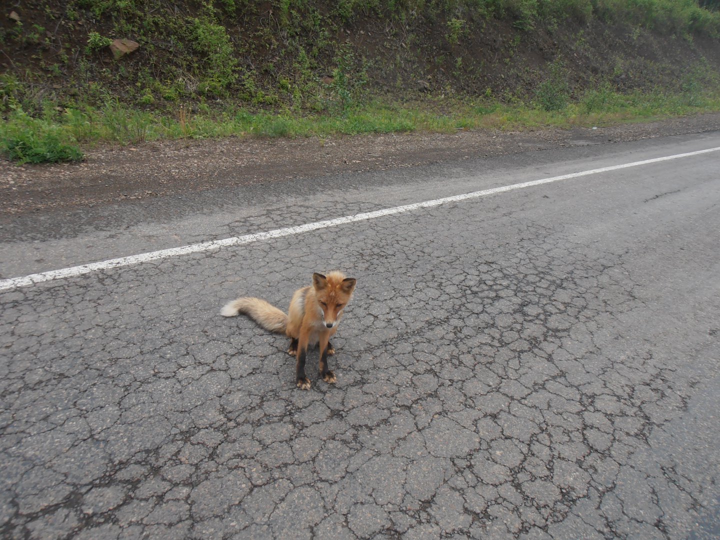 P1010413.JPG