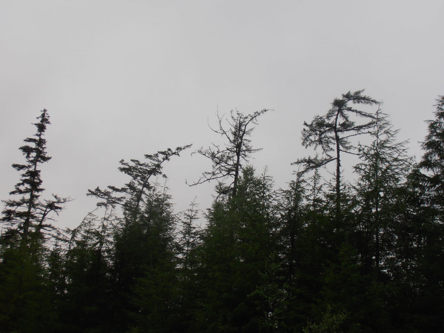 P1010437.JPG