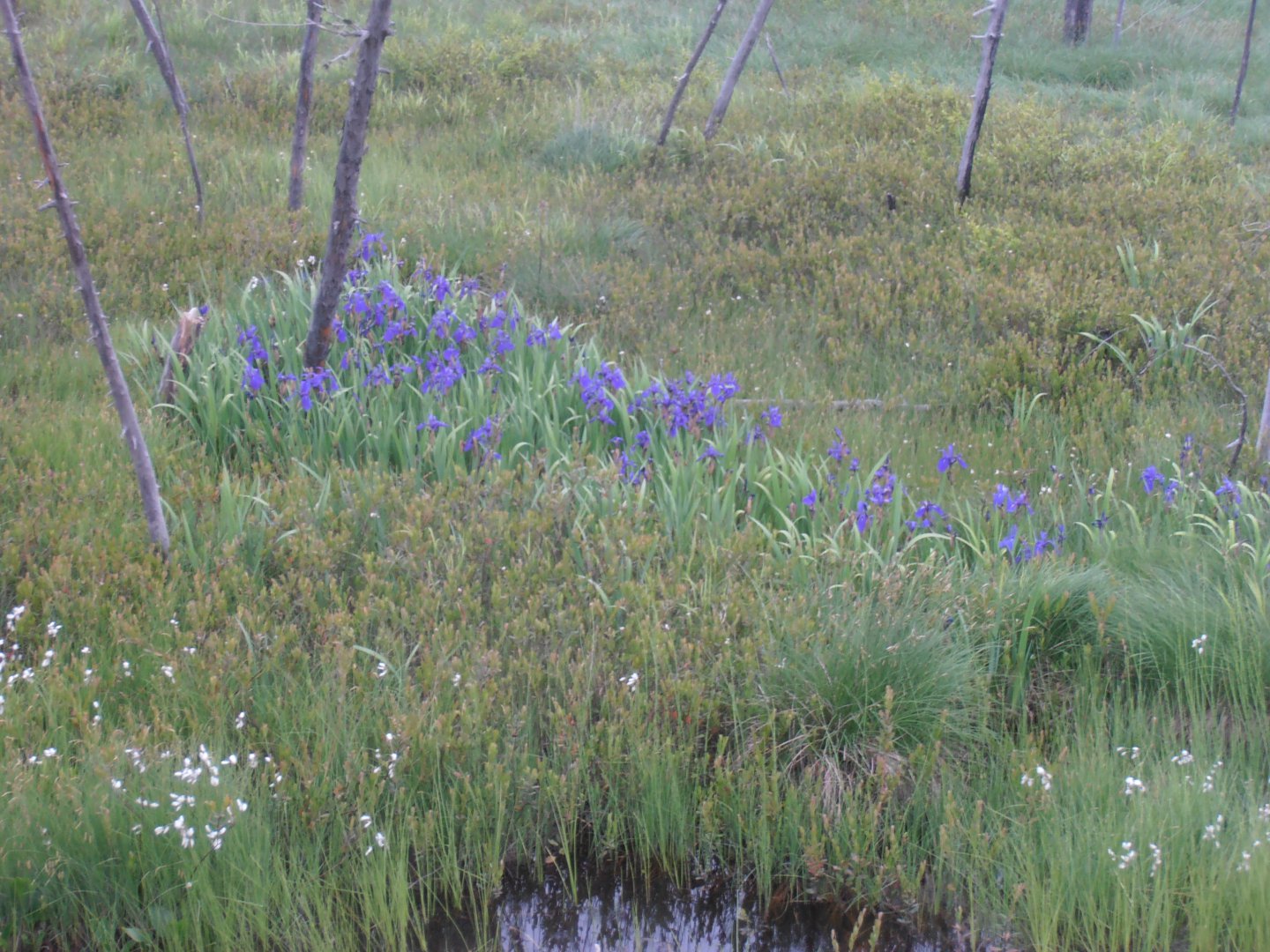 P1010439.JPG