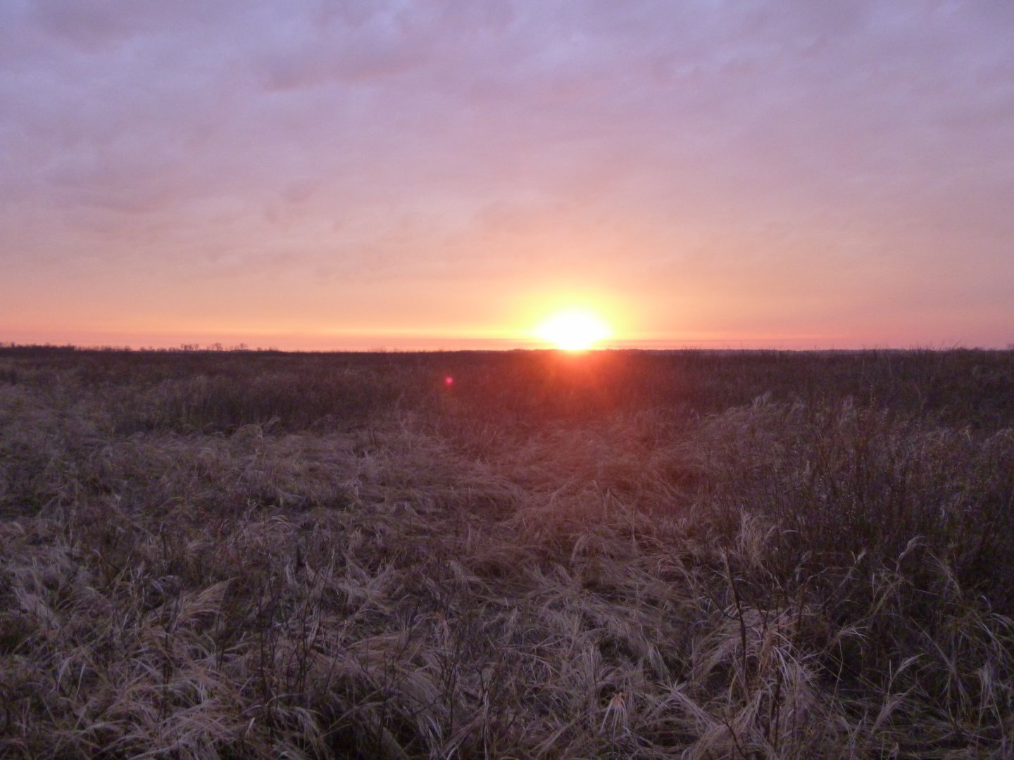 P1010441.JPG