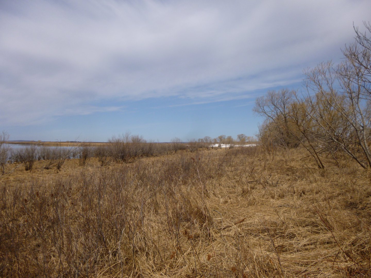 P1010454.JPG