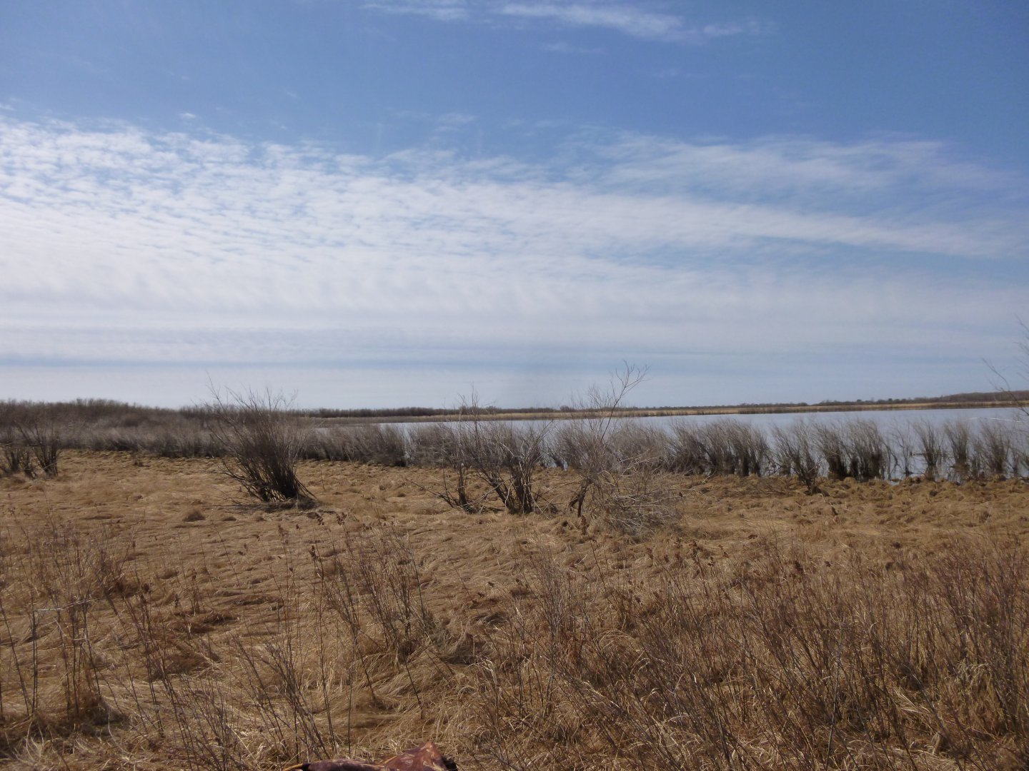 P1010455.JPG