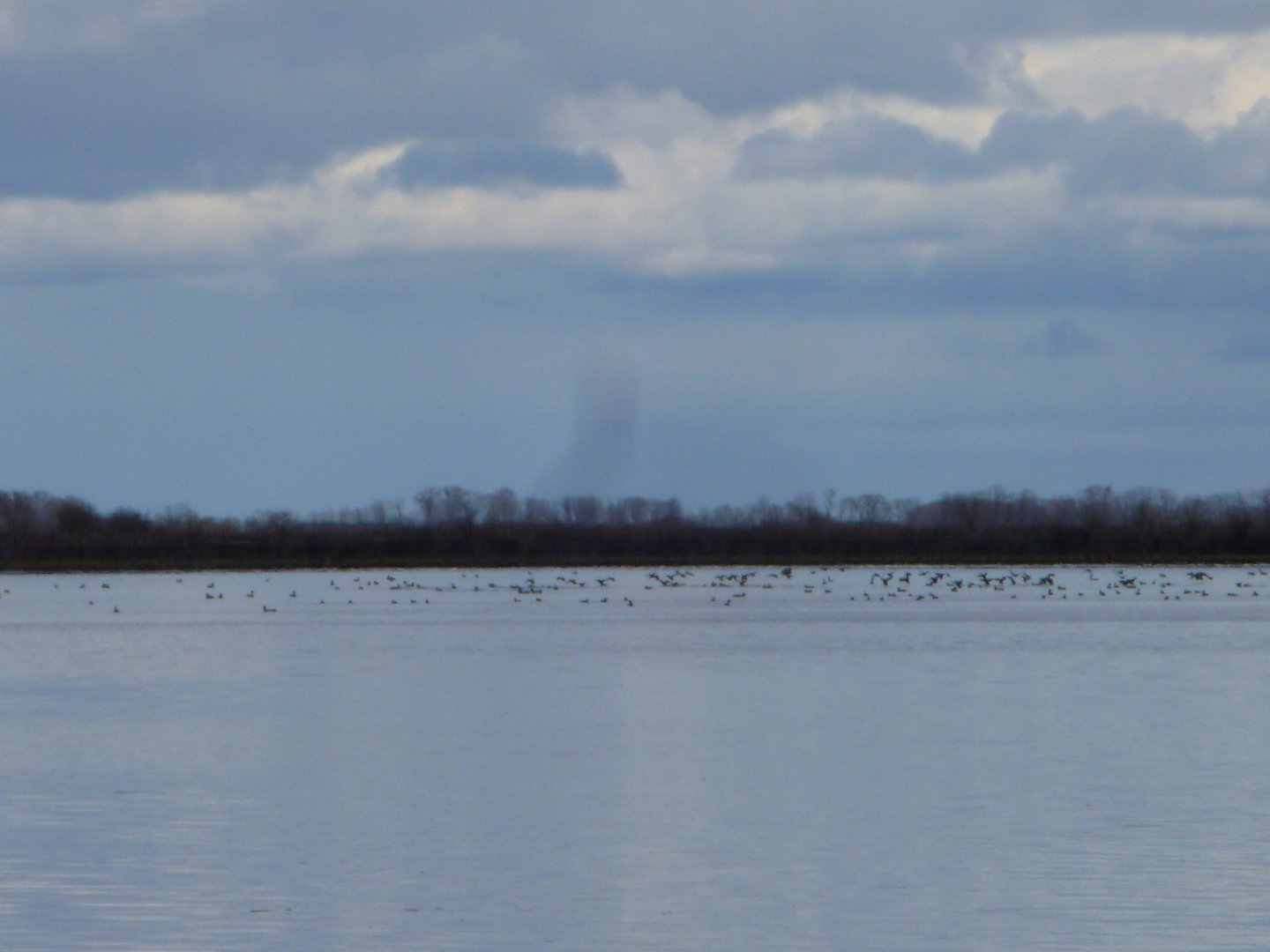 P1010493.JPG