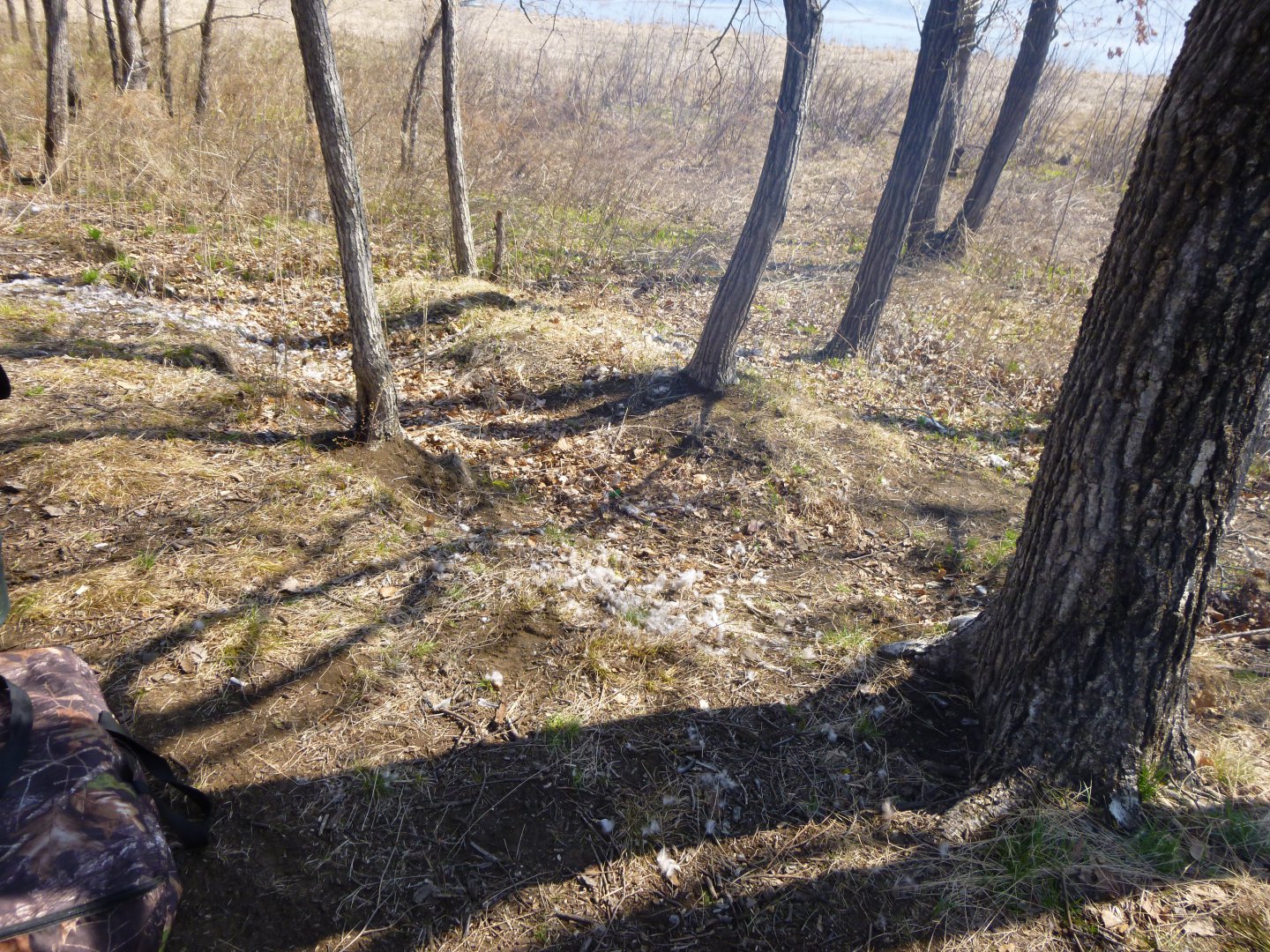 P1010521.JPG