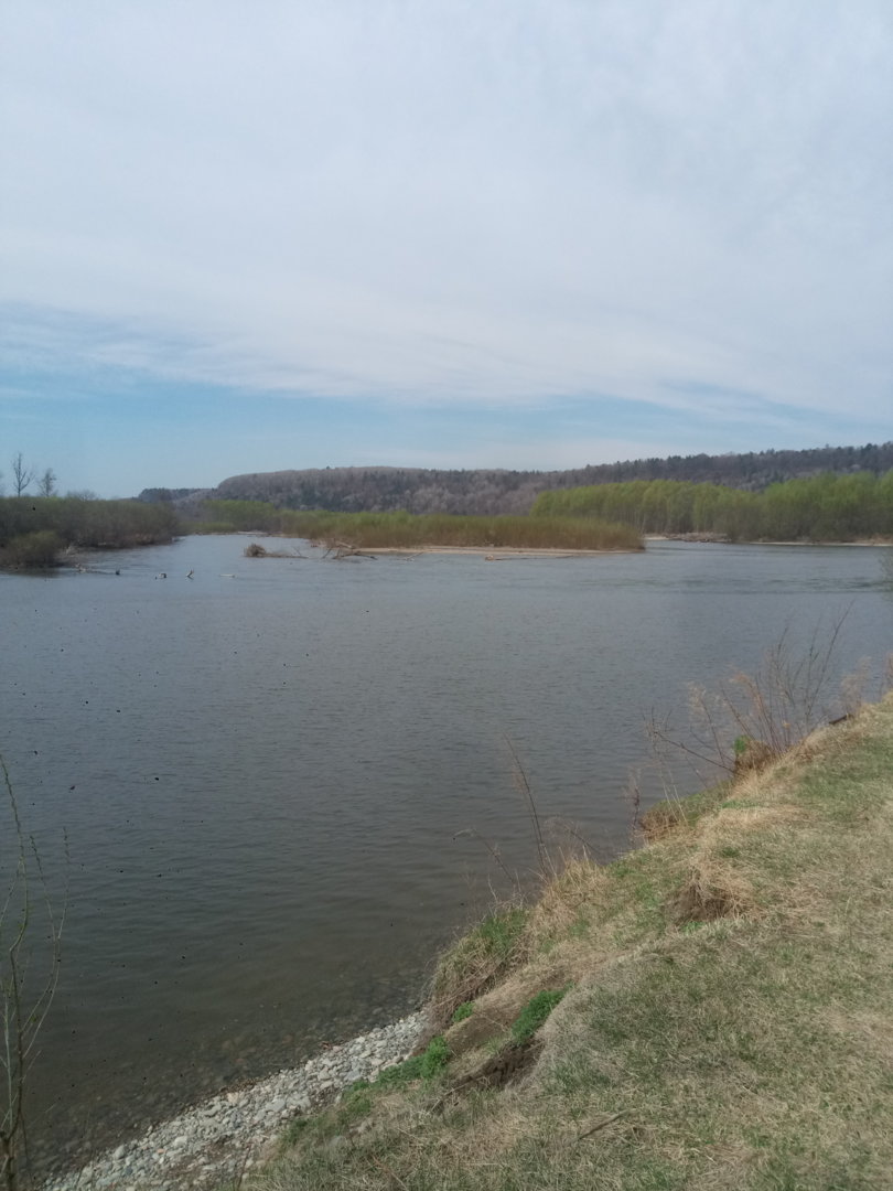 P10202-050757[1].jpg