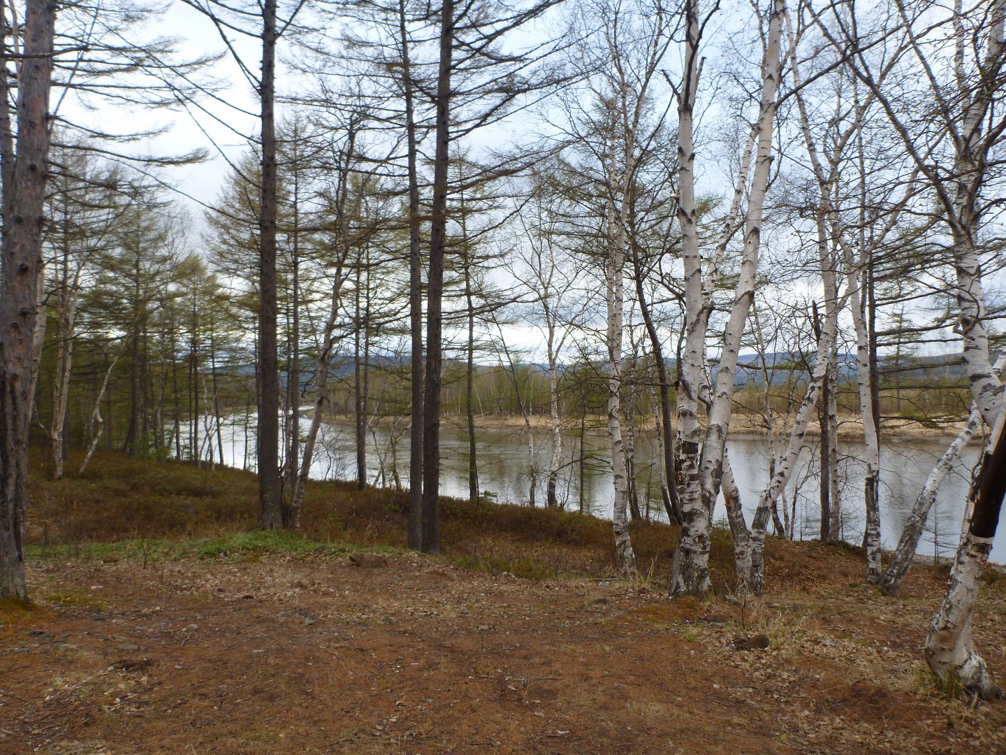 P1020612.JPG