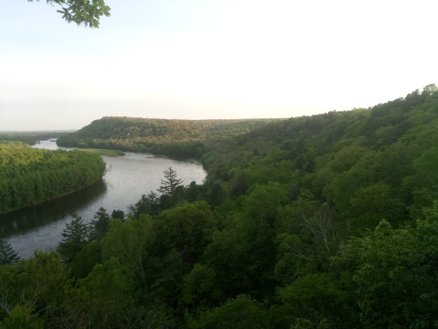 P10220-142902[1].jpg