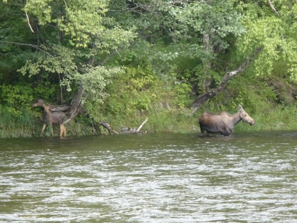 P1030300.JPG