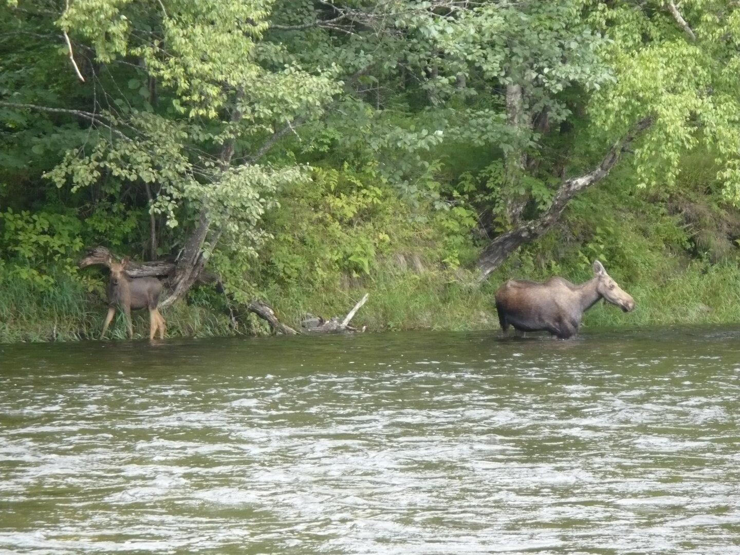 P1030300.JPG