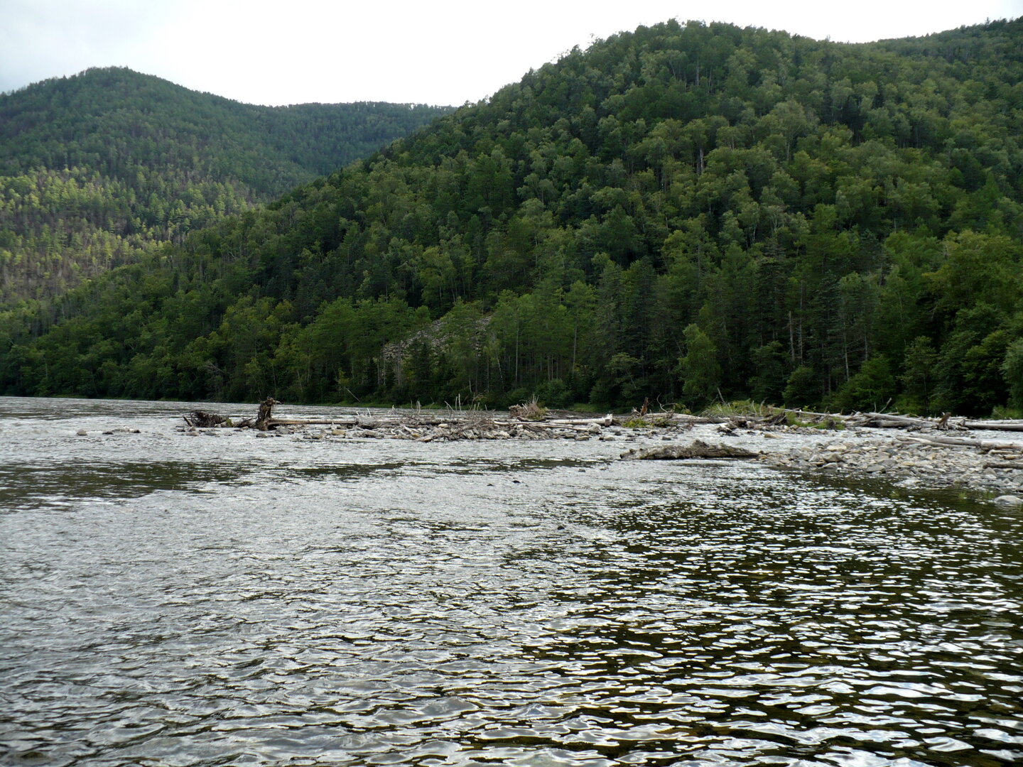 P1030320.jpg