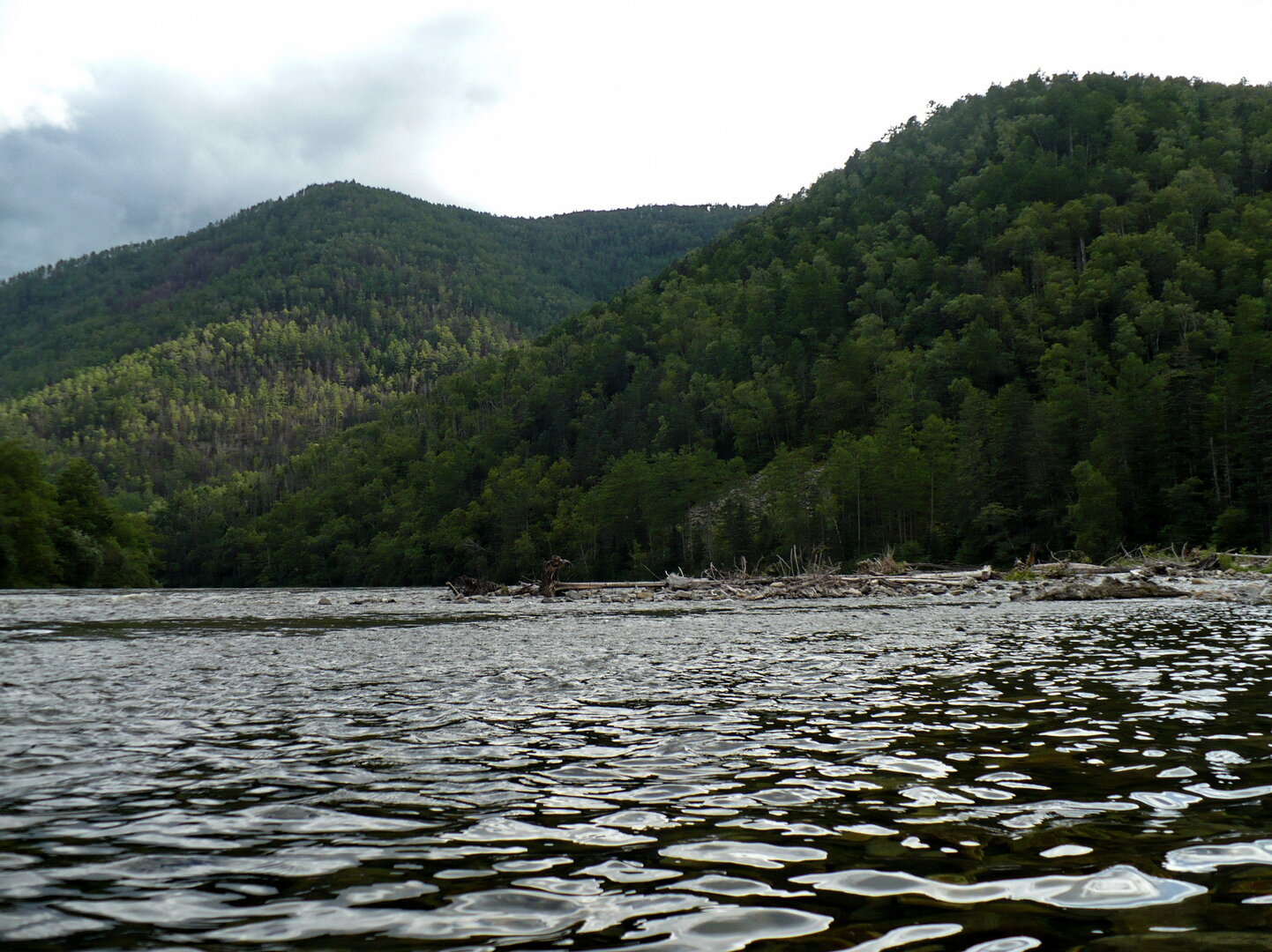 P1030321.jpg