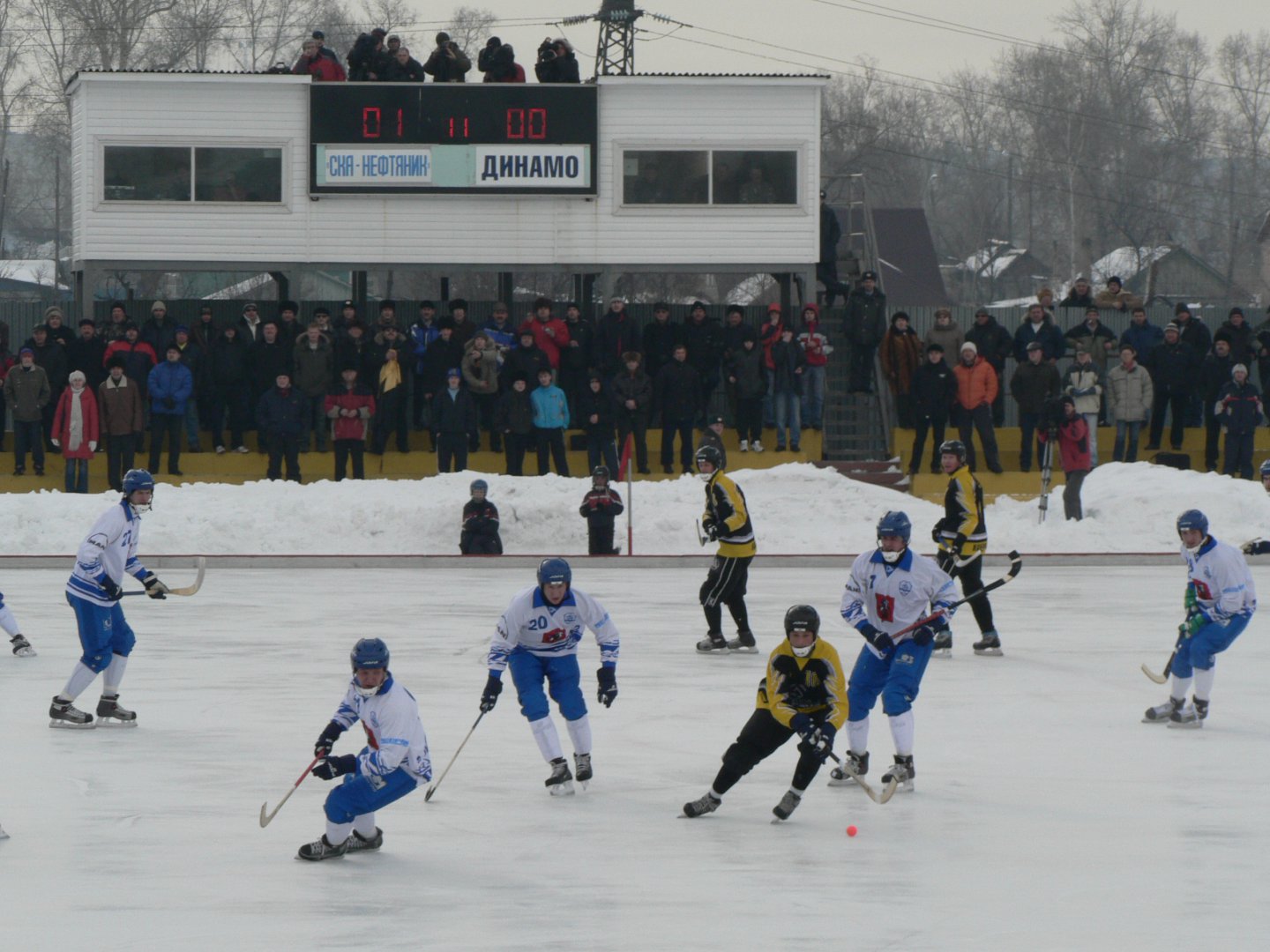 P1030365.JPG
