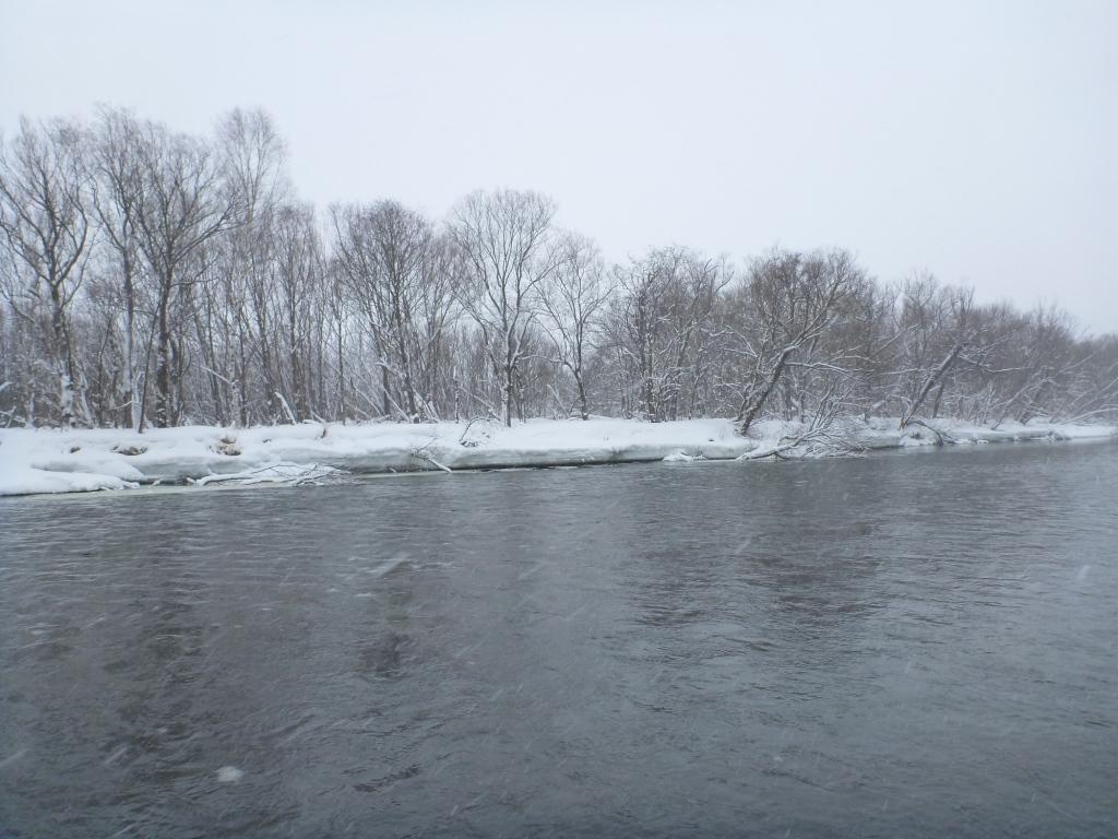 P1030899.JPG