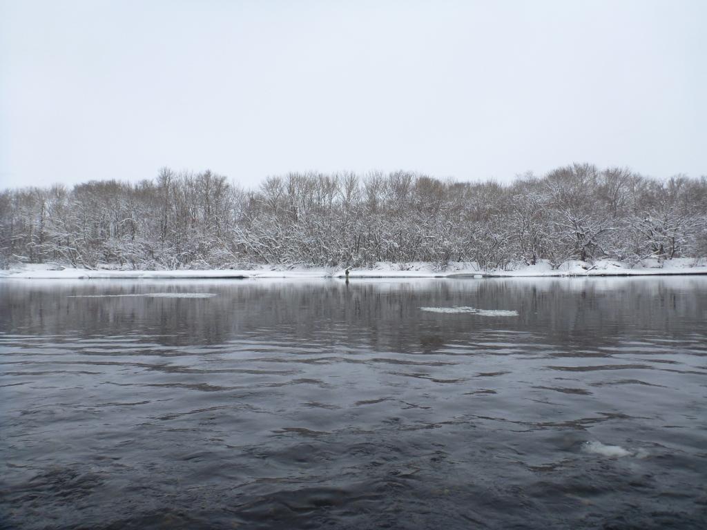 P1030903.JPG