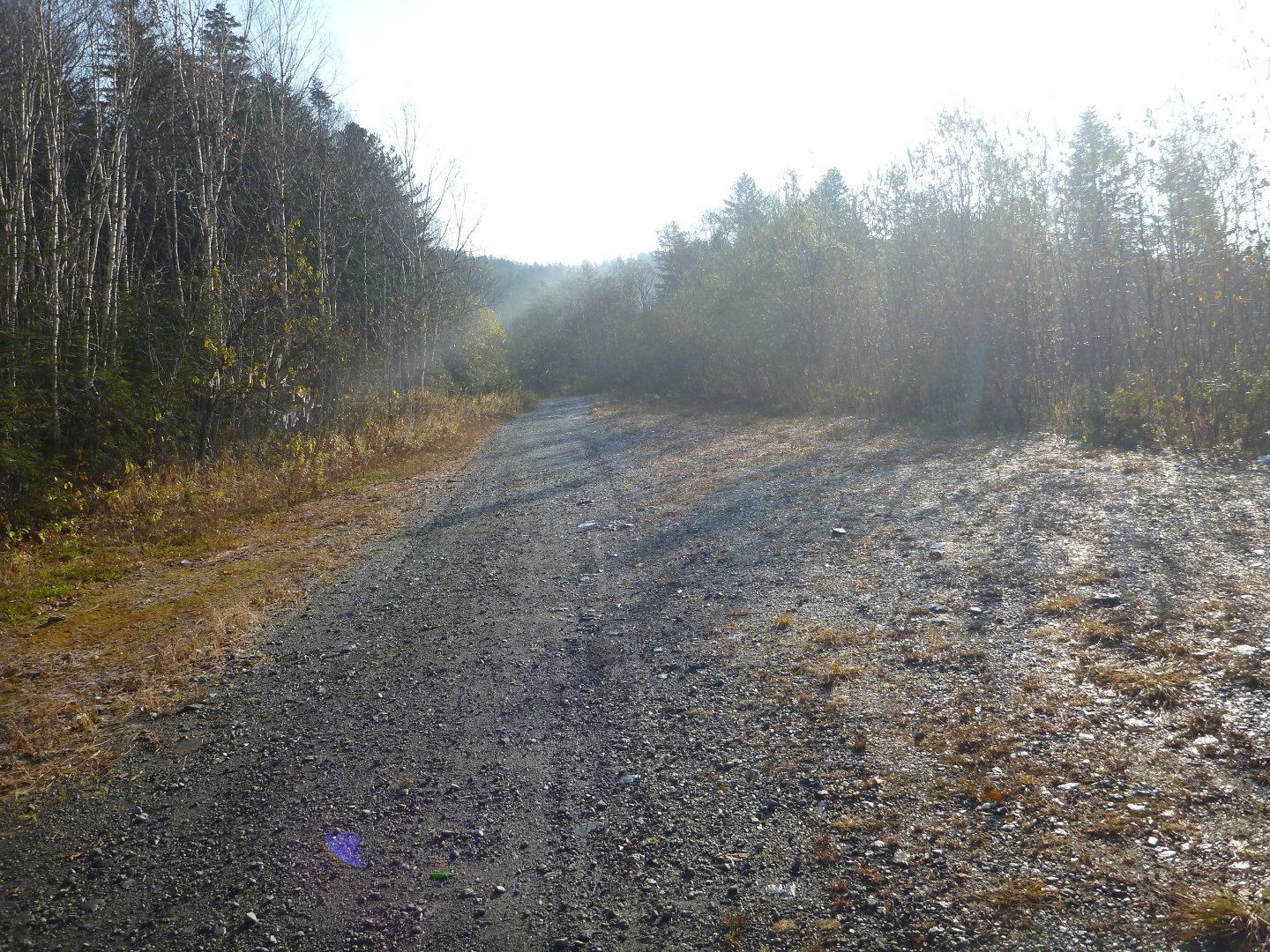 P1040127.JPG