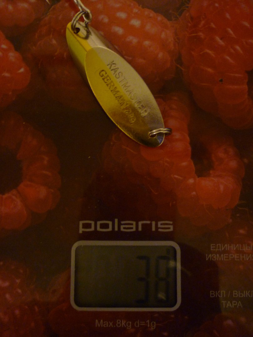 P1040864.JPG
