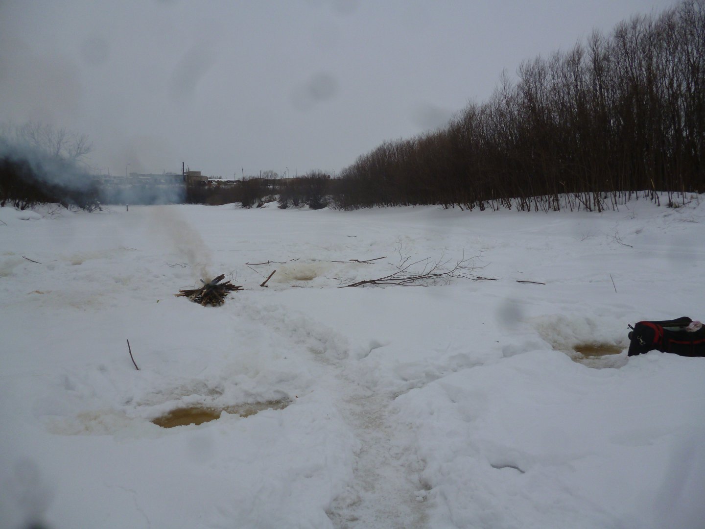 P1050049.JPG