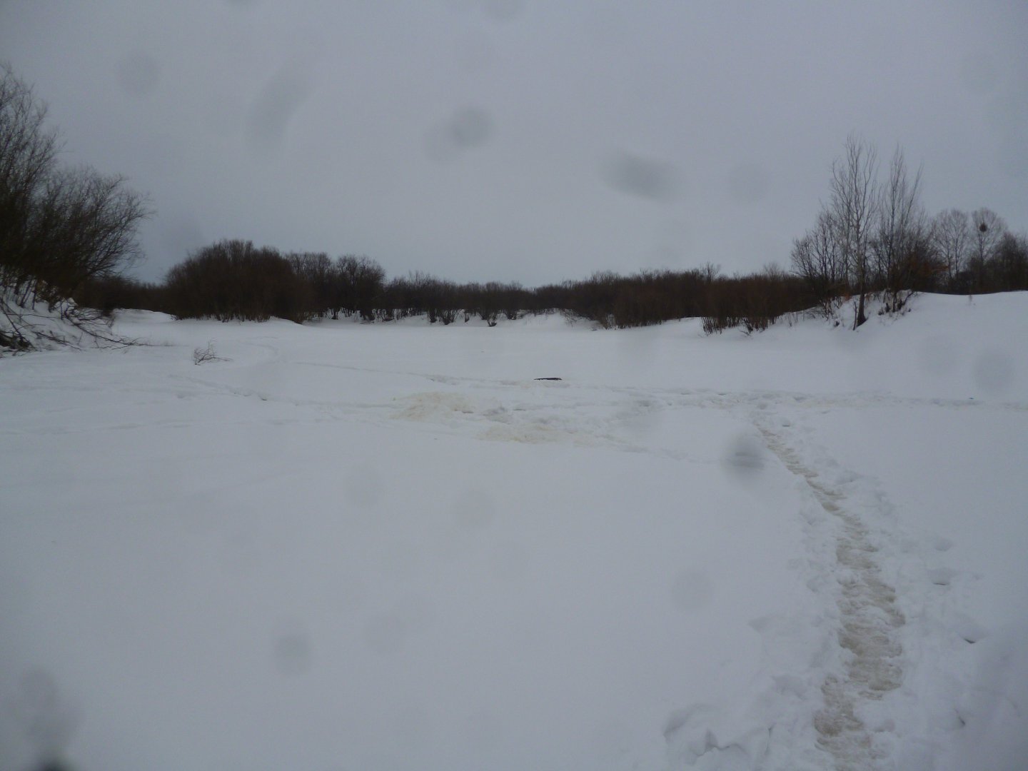 P1050050.JPG