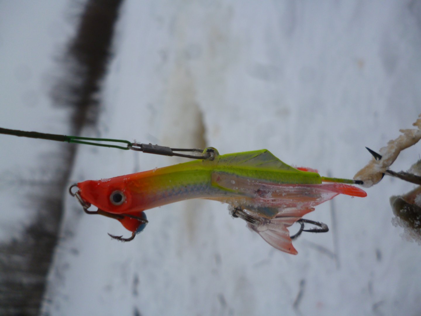 P1050054.JPG