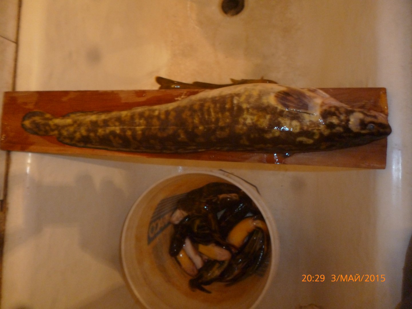 P1050190.JPG