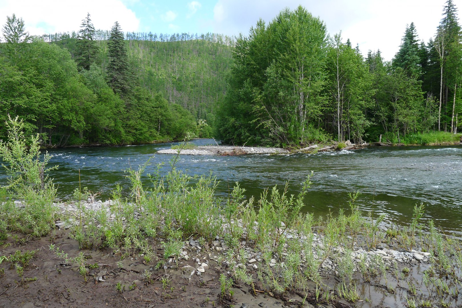 P1050469.JPG
