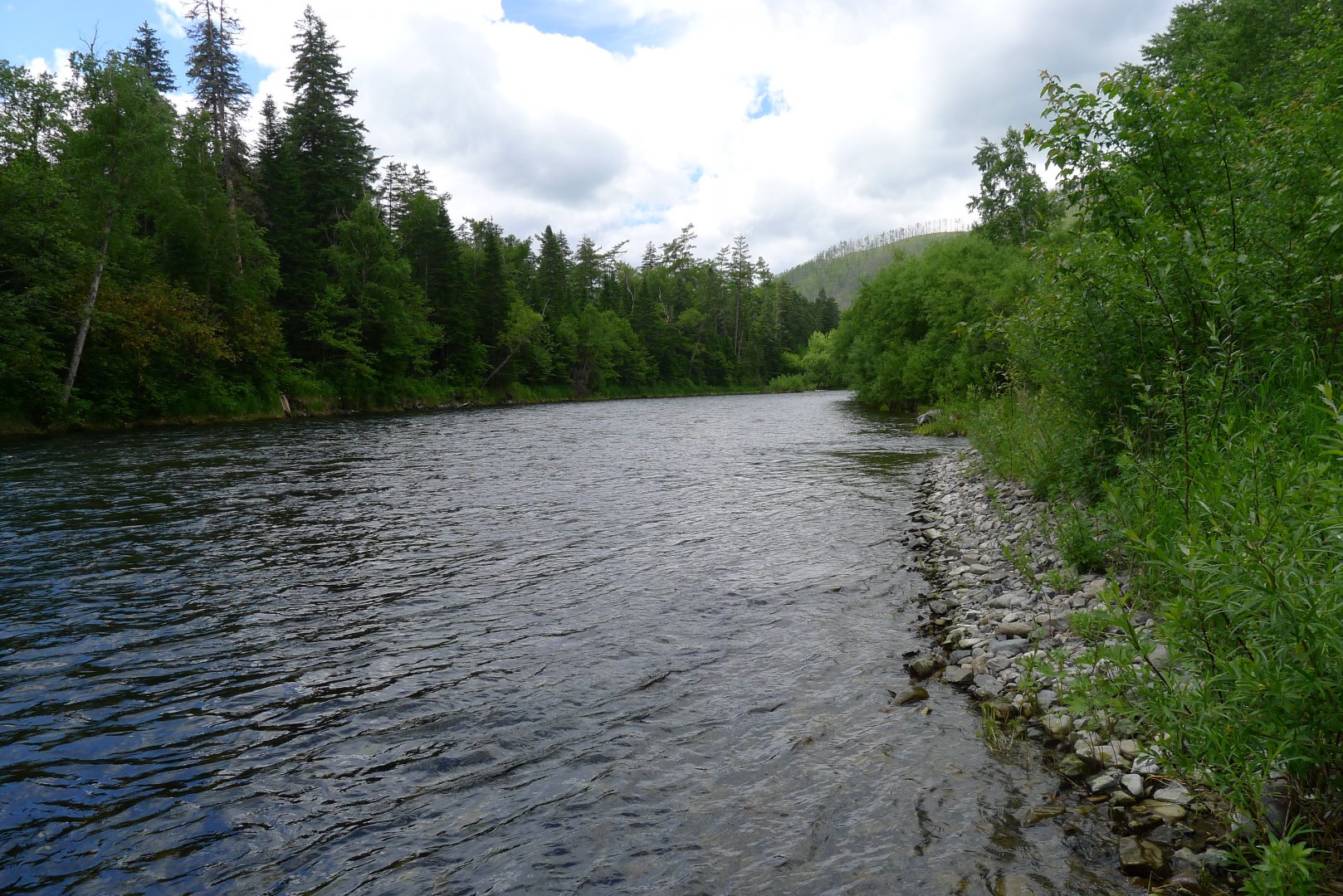 P1050475.JPG