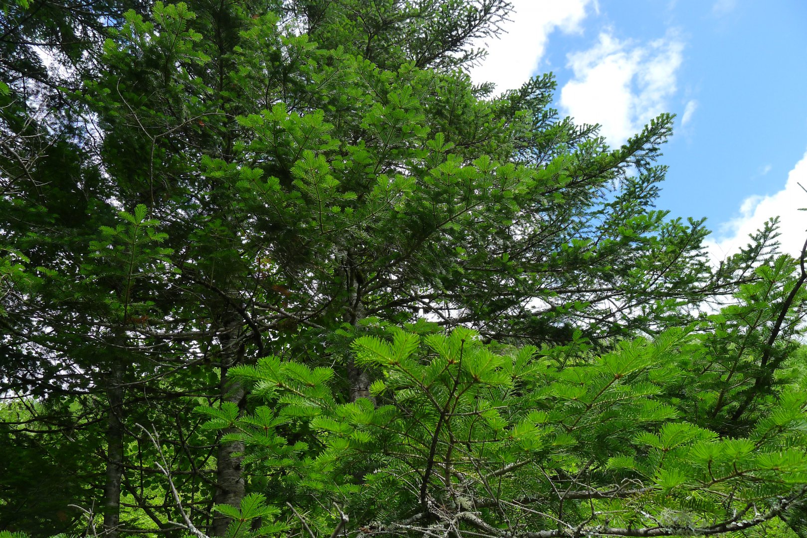 P1050531.JPG