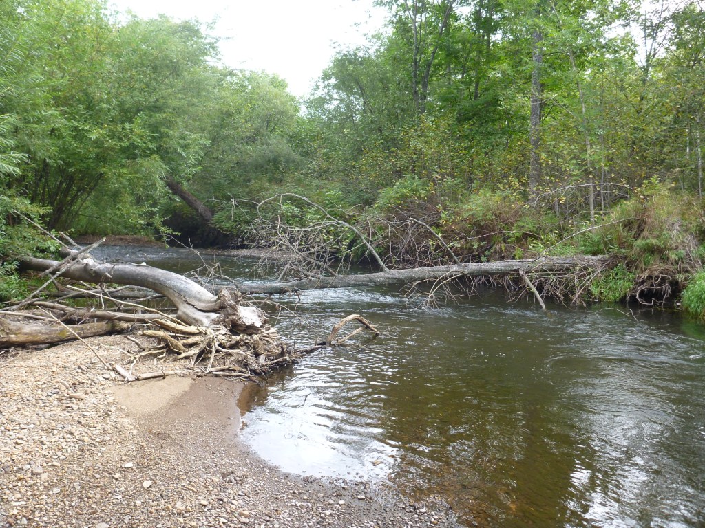 P1050555.JPG