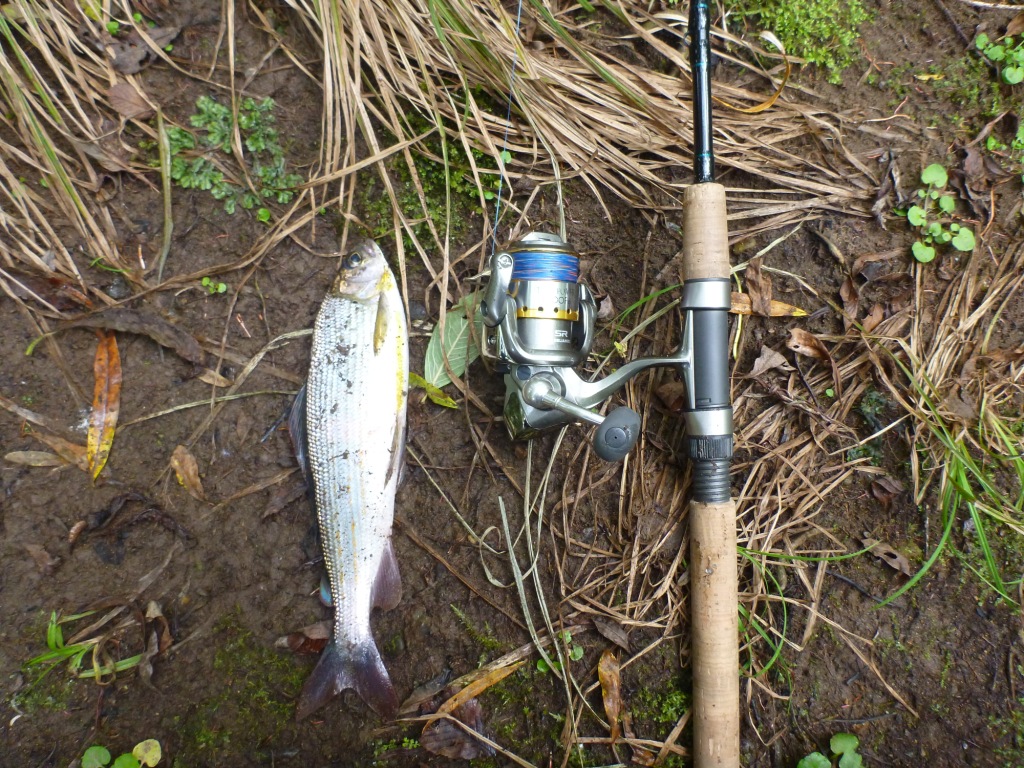 P1050562.JPG