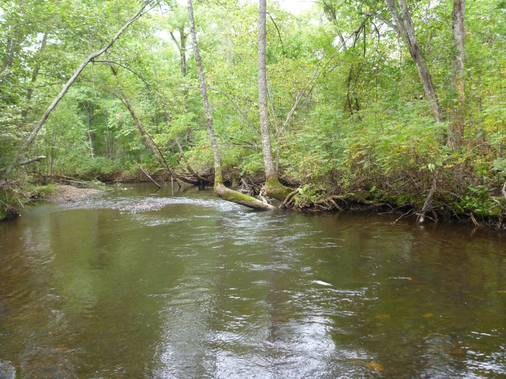 P1050576.JPG