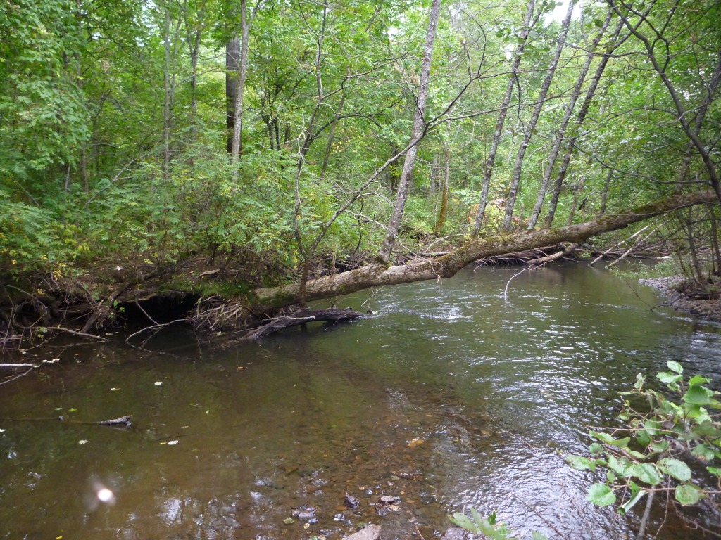 P1050581.JPG