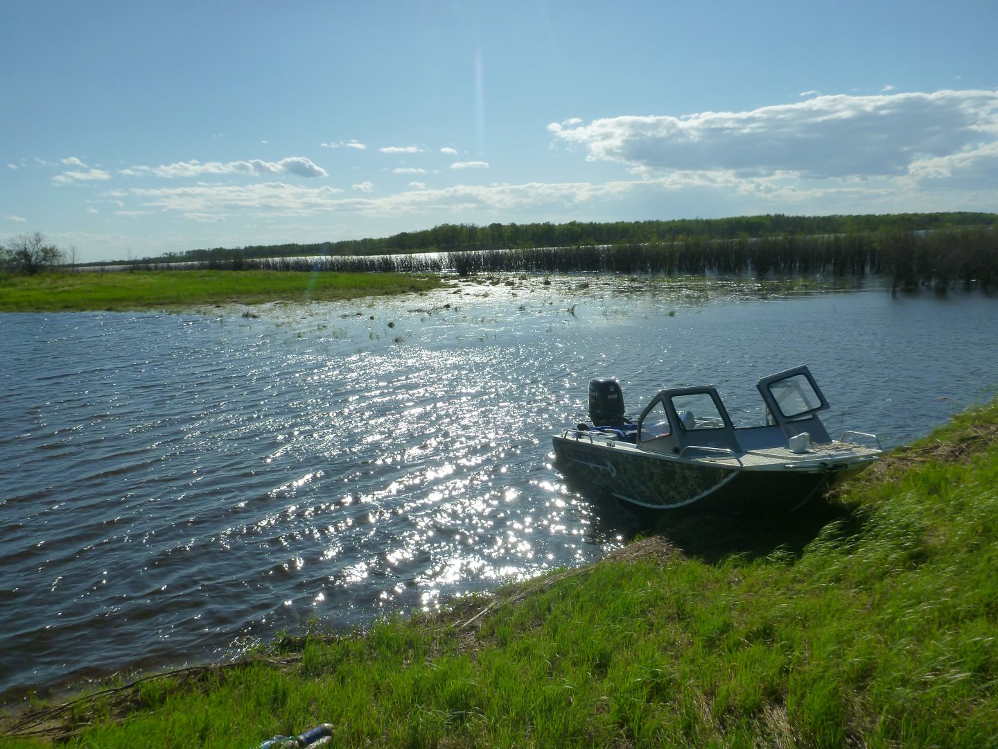 P1050590.JPG