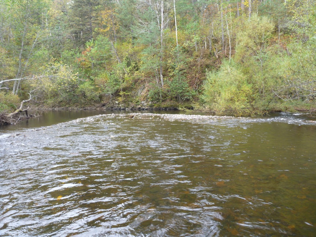 P1050623.JPG