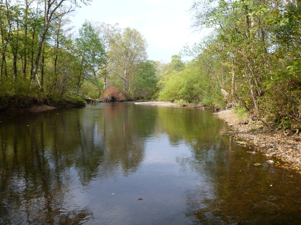 P1050647.JPG