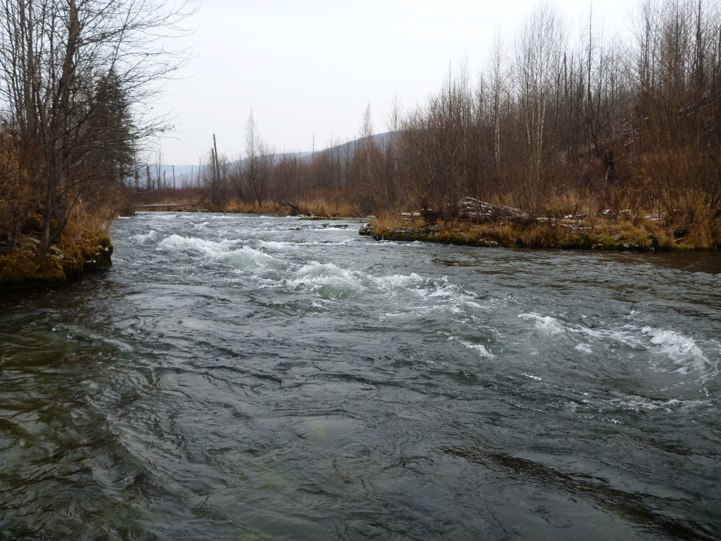 P1050691.JPG