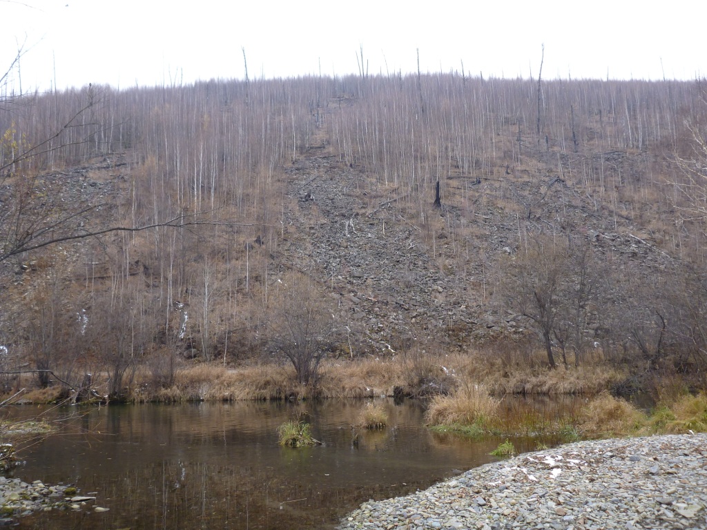 P1050703.JPG