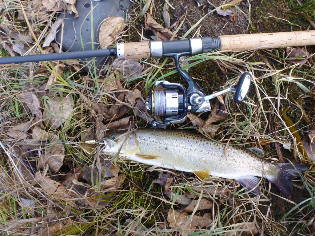 P1050716.JPG