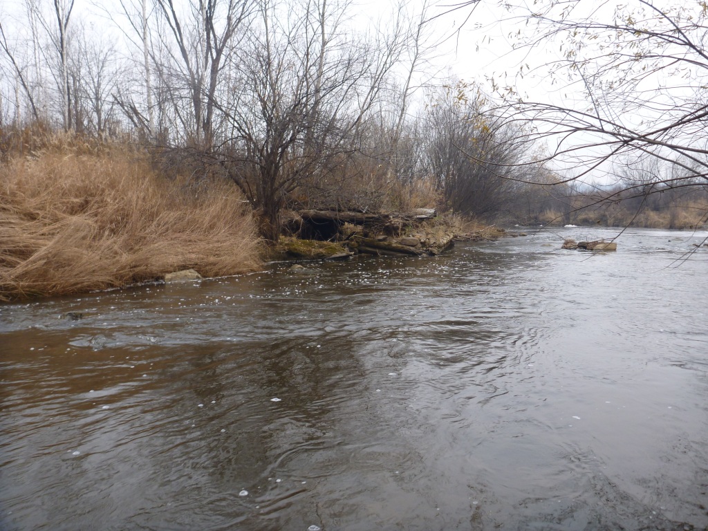 P1050719.JPG