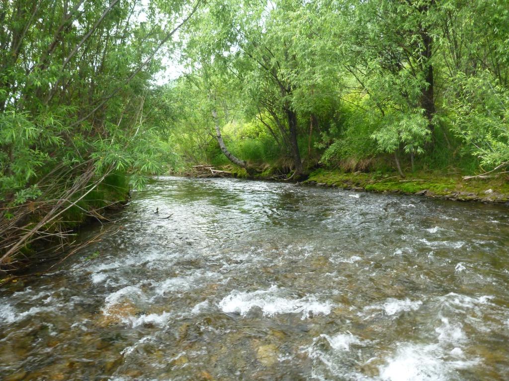 P1060436.JPG