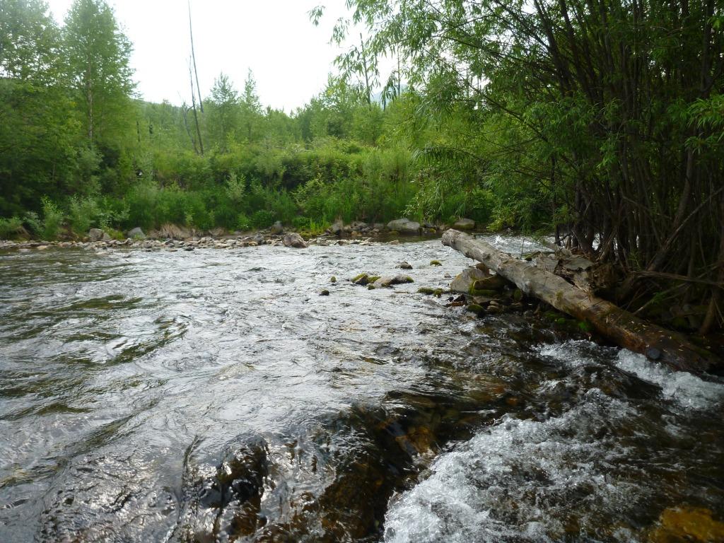 P1060437.JPG