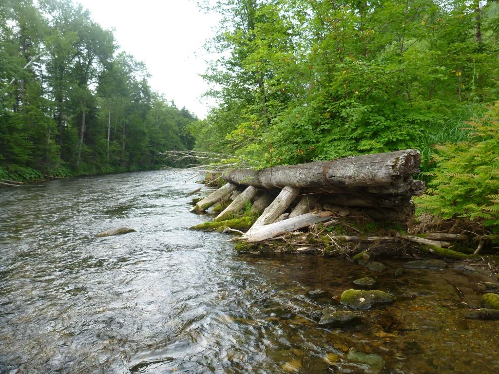 P1060464.JPG